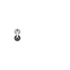 Agel